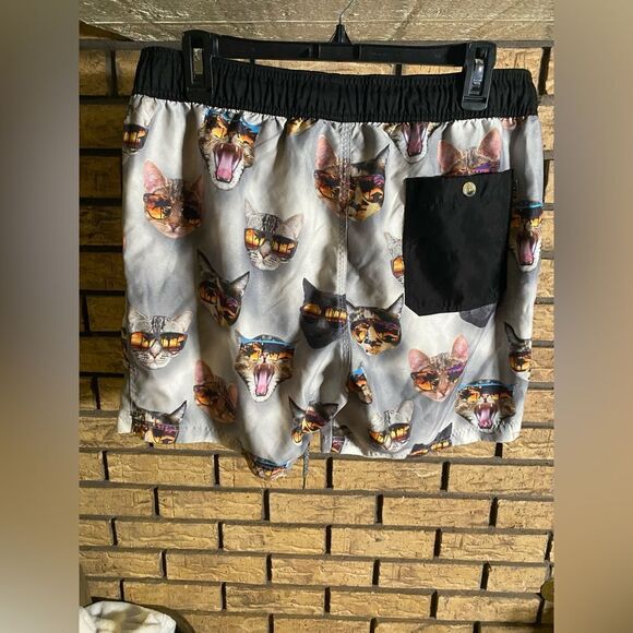 Cats with sun glasses shorts - Picture 3 of 5